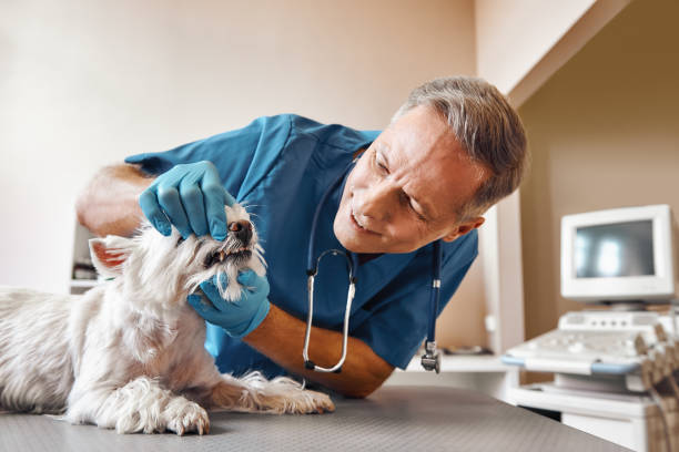 Best Emergency Wisdom Teeth Removal in Del City, OK